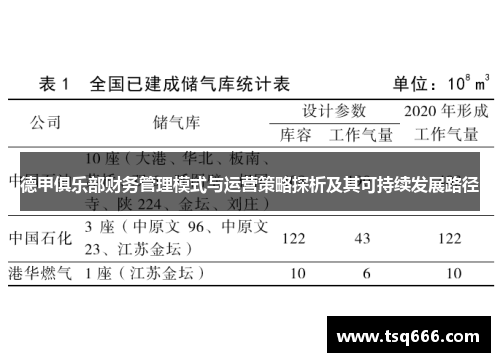德甲俱乐部财务管理模式与运营策略探析及其可持续发展路径