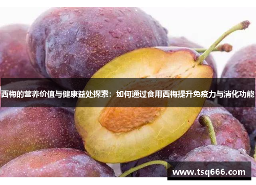 西梅的营养价值与健康益处探索:如何通过食用西梅提升免疫力与消化功能 西梅的营养价值与健康益处探索:如何通过食用西梅提升免疫力与消化功能
