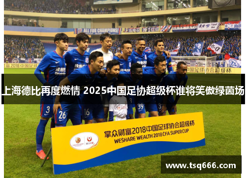 上海德比再度燃情 2025中国足协超级杯谁将笑傲绿茵场 上海德比再度燃情 2025中国足协超级杯谁将笑傲绿茵场