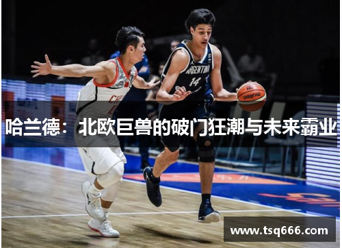 哈兰德:北欧巨兽的破门狂潮与未来霸业 哈兰德:北欧巨兽的破门狂潮与未来霸业