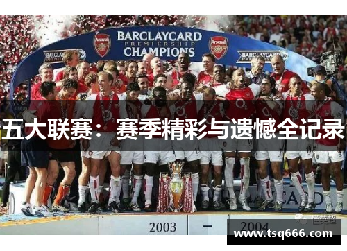 五大联赛：赛季精彩与遗憾全记录