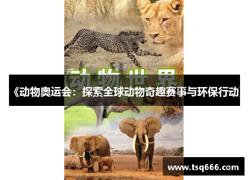 《动物奥运会：探索全球动物奇趣赛事与环保行动》