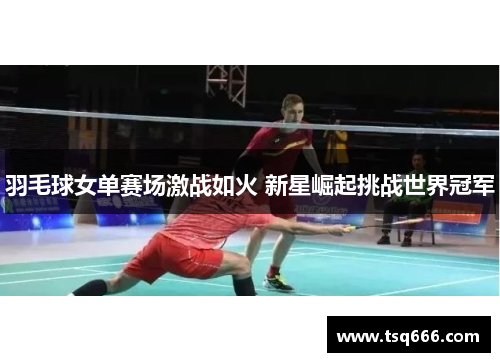 羽毛球女单赛场激战如火 新星崛起挑战世界冠军